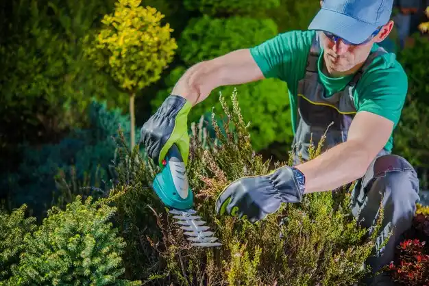 landscaping services Amherst Center